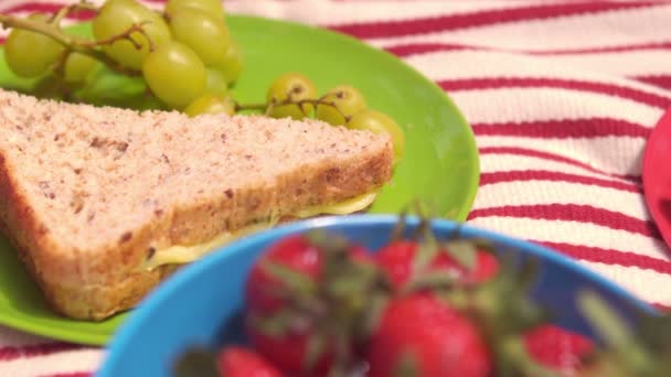 På nära håll beskåda av en picknick — Stockvideo