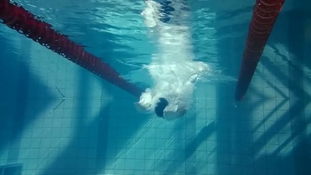 Underwater view of man diving and swimming — Stock Video