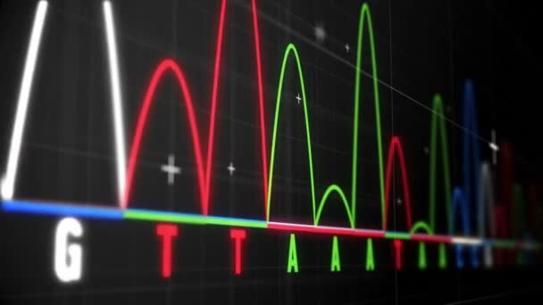 Animation of graphs and statistics — Stock Video