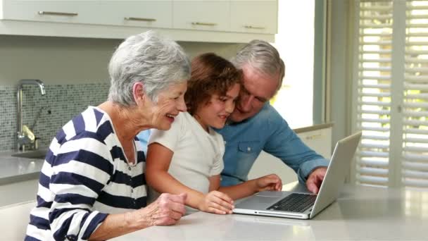 Senior couple using a laptop — Stockvideo