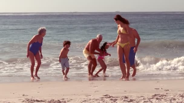 Glückliche Großfamilie läuft — Stockvideo