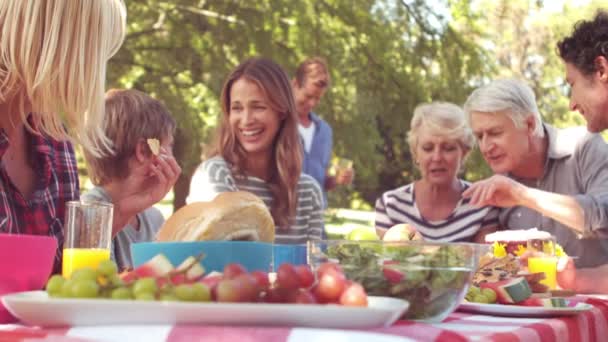 Mutlu bir aile piknik — Stok video