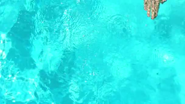Uomo in forma nuotare in piscina — Video Stock