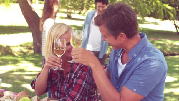 Familie stößt beim Picknick an — Stockvideo