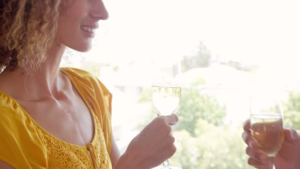Улыбающаяся пара пьет бокал шампанского — стоковое видео