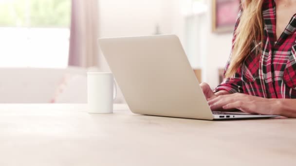 Vrouw met laptop tijdens het drinken van koffie — Stockvideo