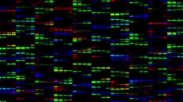 Animation de carrés colorés se déplaçant rapidement — Video