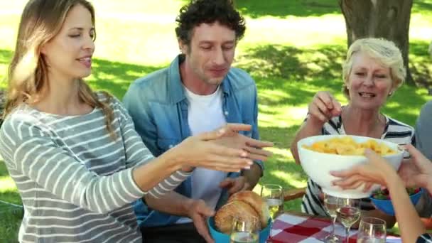 Familia haciendo un picnic — Vídeo de stock