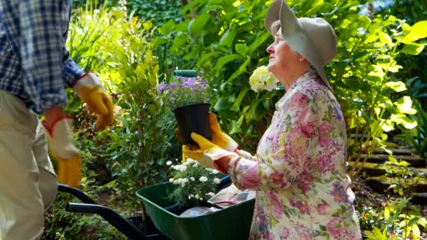 Senior paar met bloemen — Stockvideo