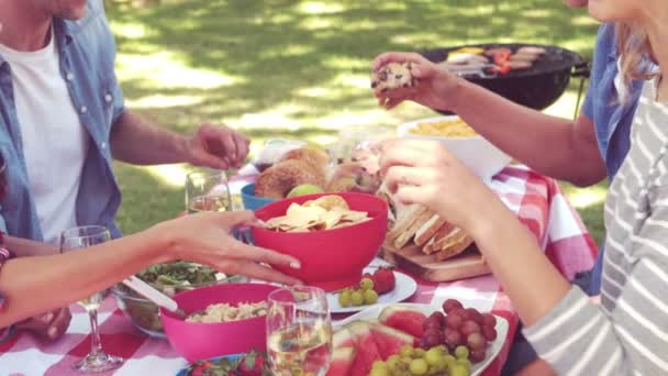 Birtoklás egy piknik a boldog család — Stock videók