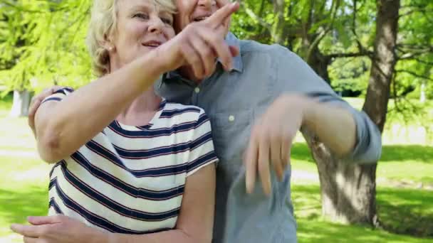 Пожилая пара в парке — стоковое видео