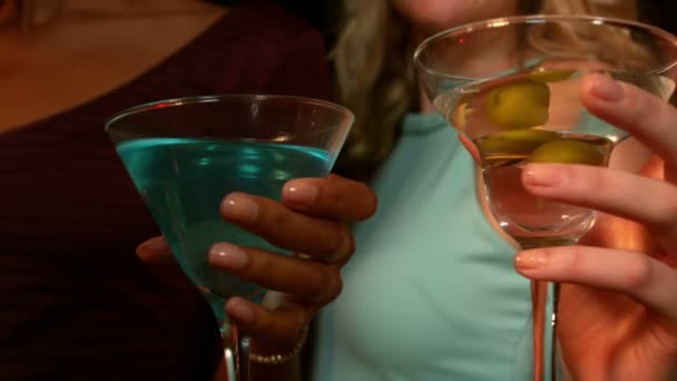 Gruppo di amici che si fanno un cocktail — Video Stock