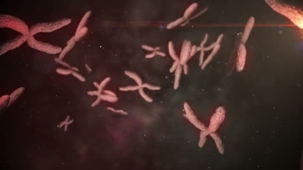 Animación de cromosomas en movimiento — Vídeo de stock
