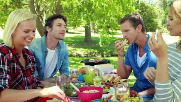 Freunde picknicken im Park — Stockvideo