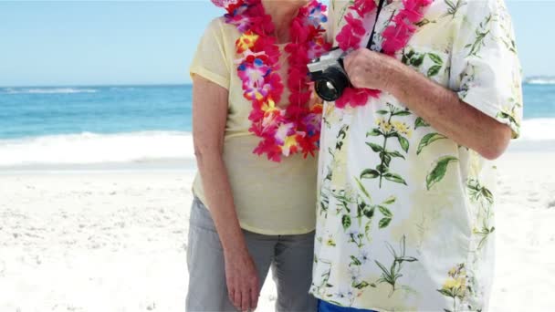 Lachende senior paar op het strand — Stockvideo