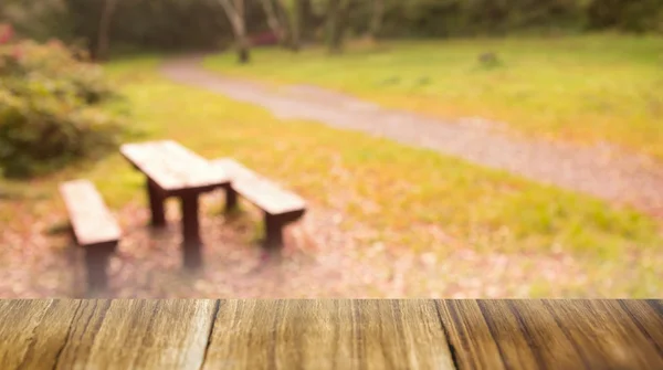 Tavolo con vista sul parco — Foto Stock