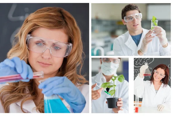 Collage de científicos en el trabajo — Foto de Stock