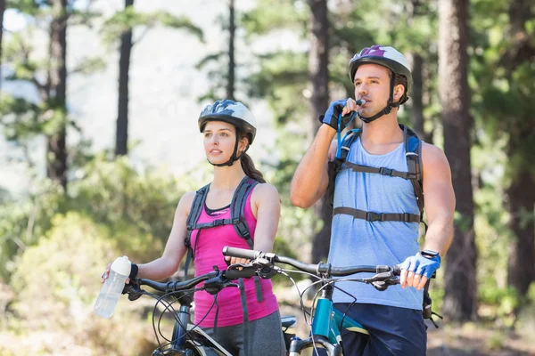 Couple with bicycles in forest — Stock Photo, Image