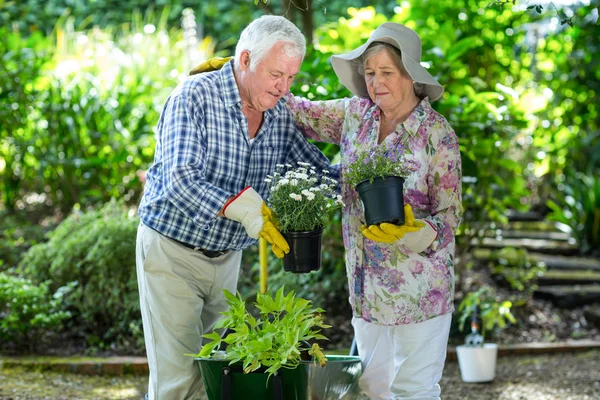 Paar bloempotten houden — Stockfoto