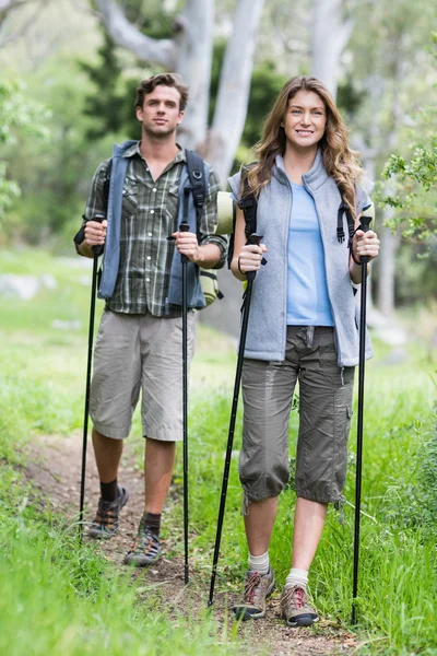 Wandelaars lopen met Polen in bos — Stockfoto