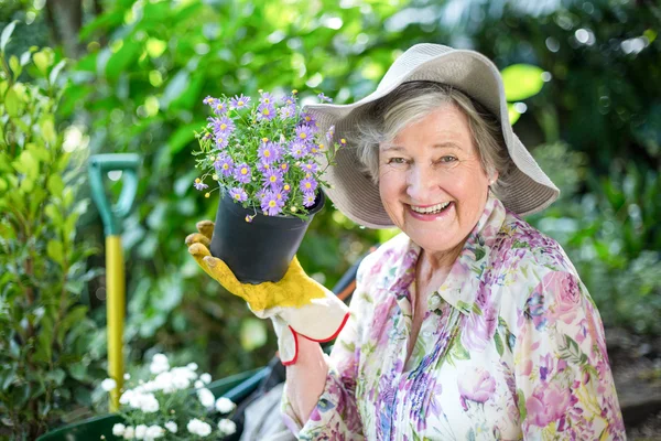 庭の鉢植えな植物を持つ女性 — ストック写真