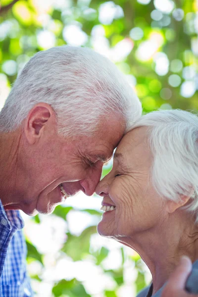 Romantiska äldre par med slutna ögon — Stockfoto