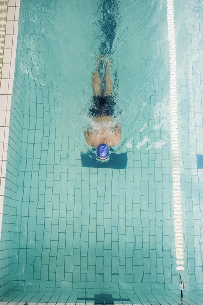 Nadador nadando en la piscina — Foto de Stock