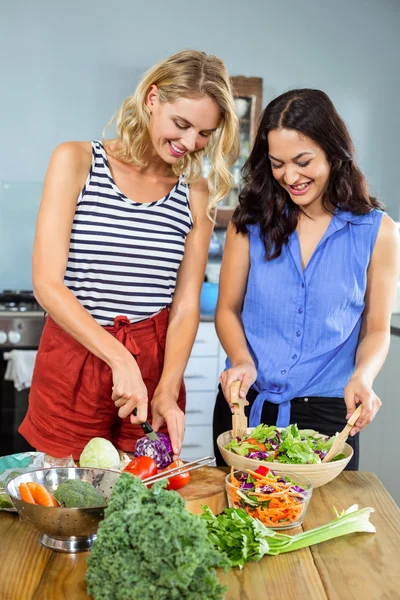 Amigos femininos cortando legumes — Fotografia de Stock