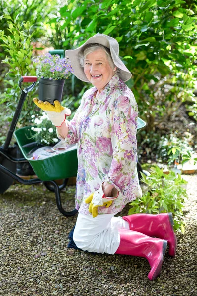 Donna anziana allegra che tiene la pianta in vaso in giardino — Foto Stock