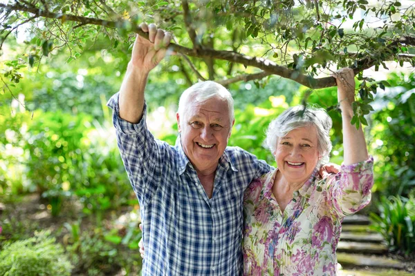 Retrato de feliz pareja mayor sosteniendo rama — Foto de Stock