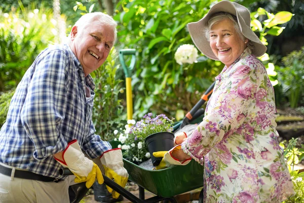 Счастливая пожилая пара с растениями в горшках — стоковое фото