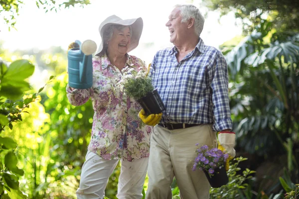 Feliz pareja mayor sosteniendo equipo de jardinería — Foto de Stock