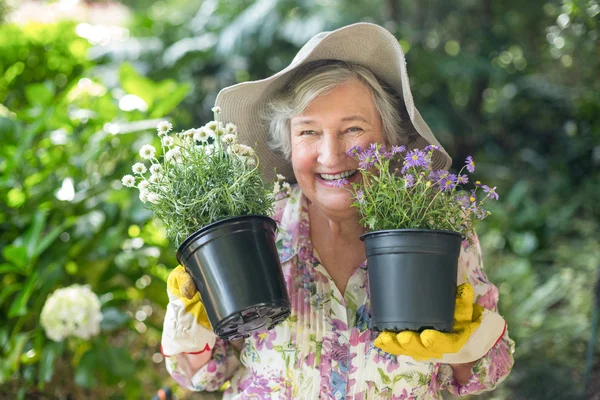 Mulher sênior alegre que mantém plantas potted — Fotografia de Stock