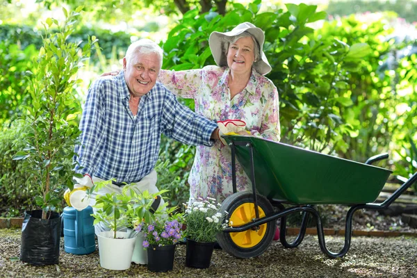 Paar knielen door kruiwagen — Stockfoto