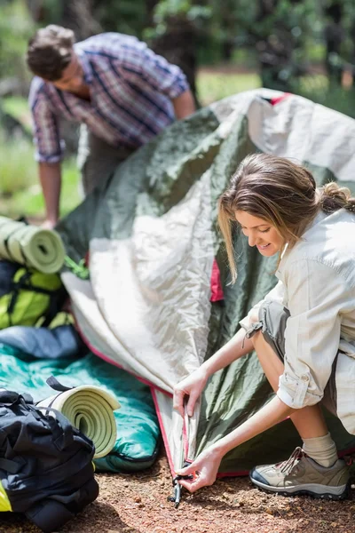 Pareja haciendo tienda en el bosque — Foto de Stock