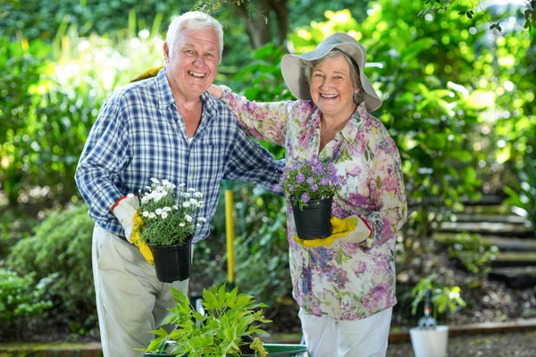 Portrait of senior couple holding flower pots — Stock Photo, Image