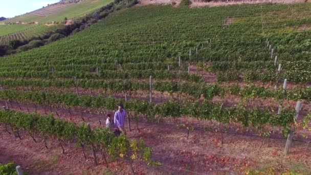 Drone footage of couple walking — Stock Video