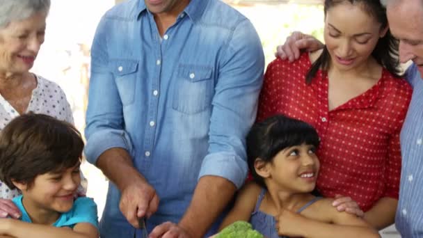 Family cutting vegetables together — Stock Video