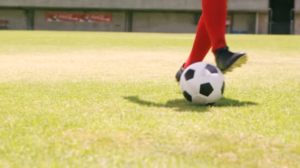 Piłkarz dryblingu piłka — Wideo stockowe
