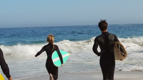 Friends in wet suits running into water — Stock Video