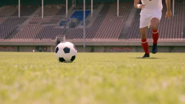 Jugador de fútbol celebrando su éxito — Vídeos de Stock