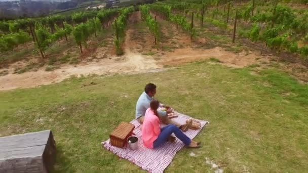 Filmagem de drones de casal fazendo um piquenique — Vídeo de Stock