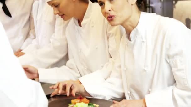 Groep van chef-koks brengen finishing touch — Stockvideo