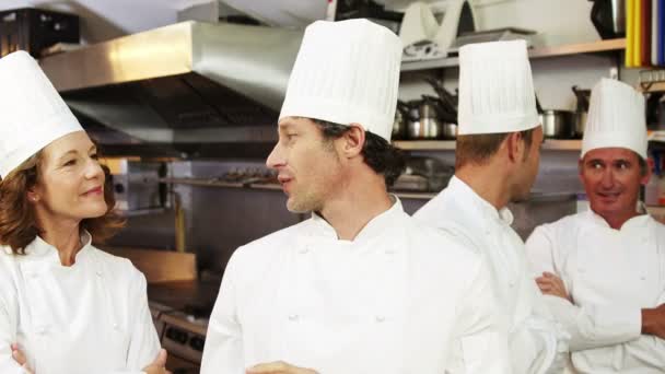 Groep van chef-kok praten en lachend op camera — Stockvideo