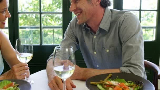 Casal almoçar e brindar com vinho — Vídeo de Stock