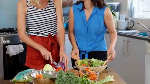 Amis préparant la salade ensemble — Video