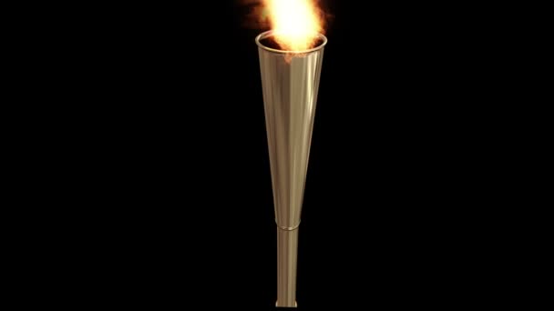 Olympic torch being torched — Stock Video