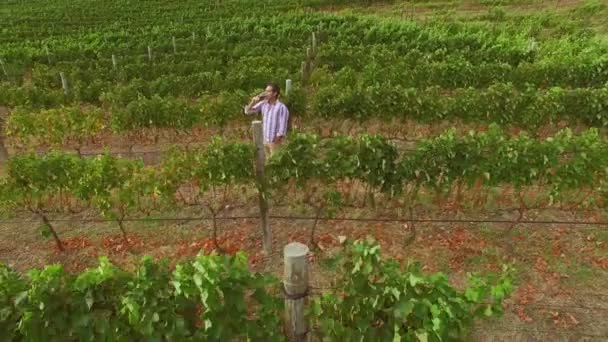 Drone bilder av mannen dricker rött vin — Stockvideo