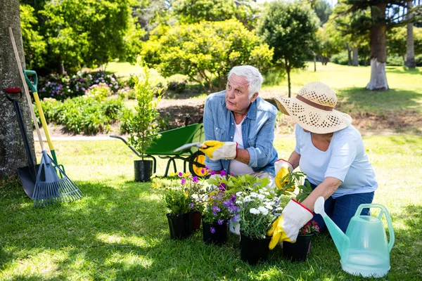 Casal jardinagem no parque — Fotografia de Stock