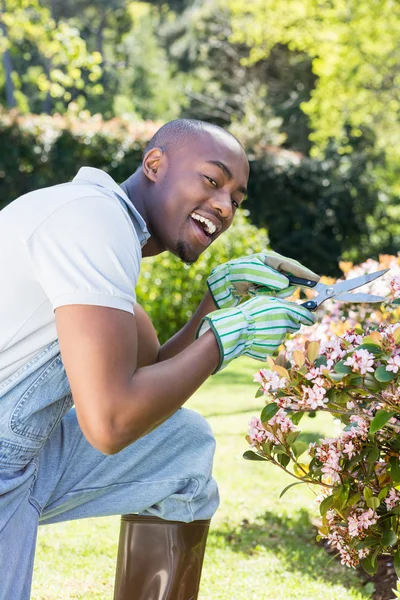 Молодой человек режет цветы — стоковое фото